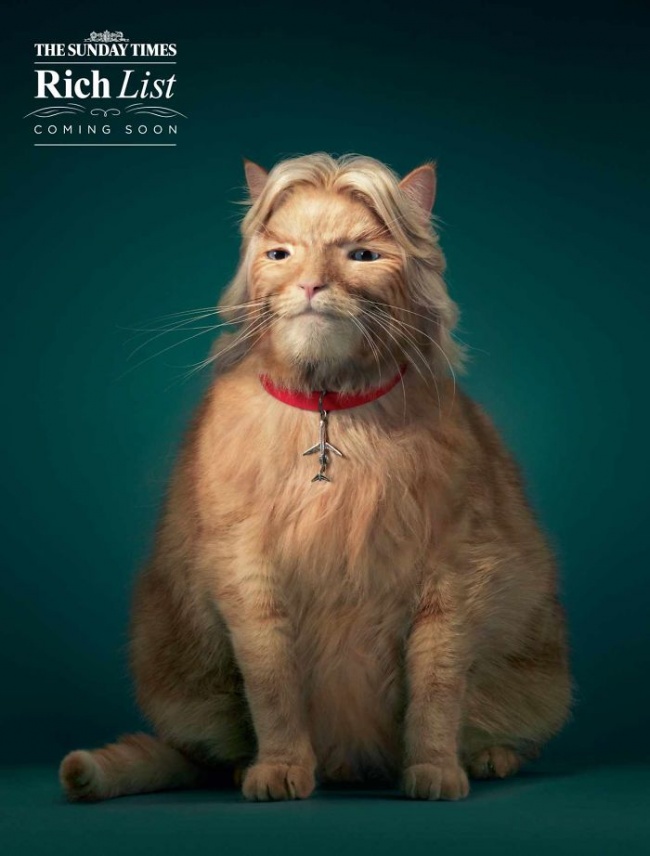 funny-ads-with-animals-17