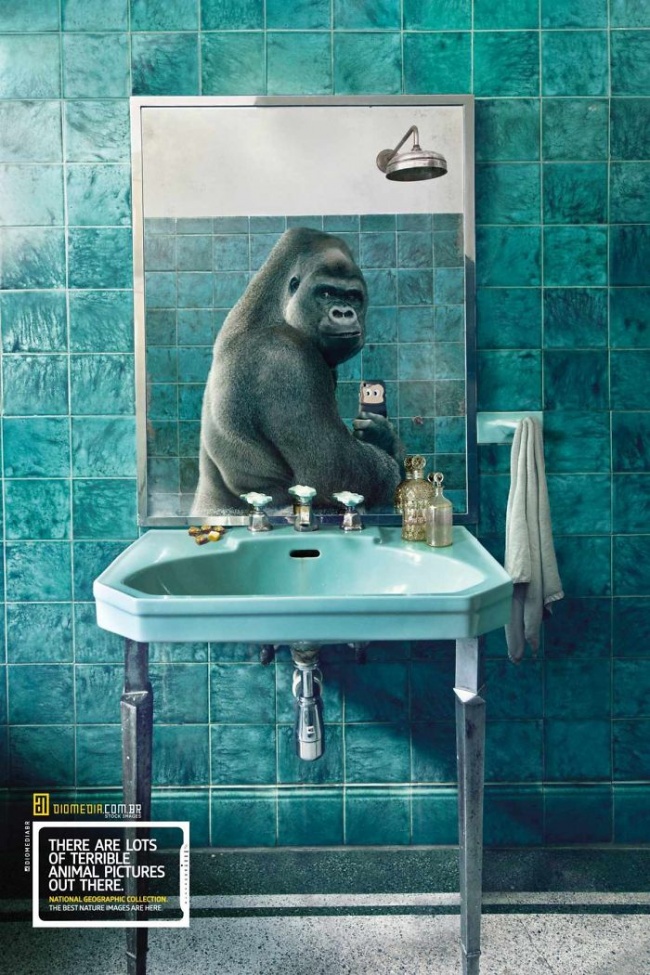 funny-ads-with-animals-6