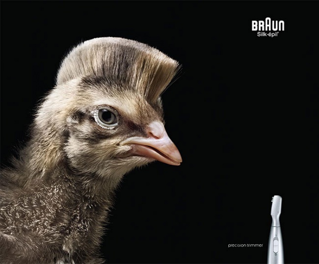 funny-ads-with-animals-731